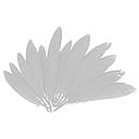 Plumas Indias 25 x 140 mm. Blancas (60 pzs.)