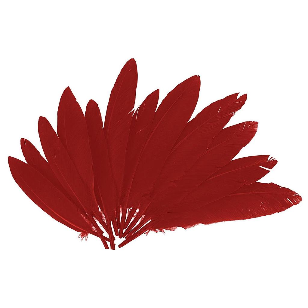 Plumas Indias 25 x 140 mm. Rojas (60 pzs.)