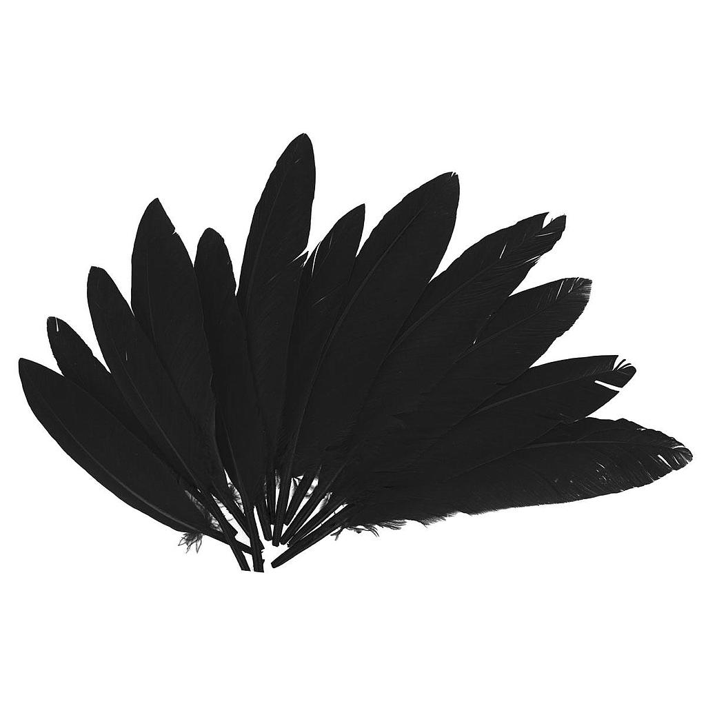 Plumas Indias 25 x 140 mm. Negras (60 pzs.)