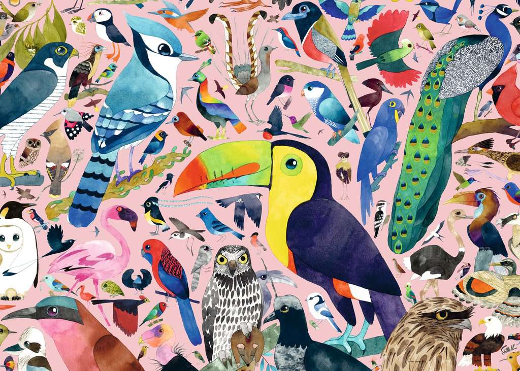 Puzzle 1000 piezas -Pájaros Increibles- Ravensburger
