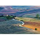 Puzzle 1000 piezas -Talent collecition: Podere Terrapille. Pienza. Siena.Toscana - Ravensburger