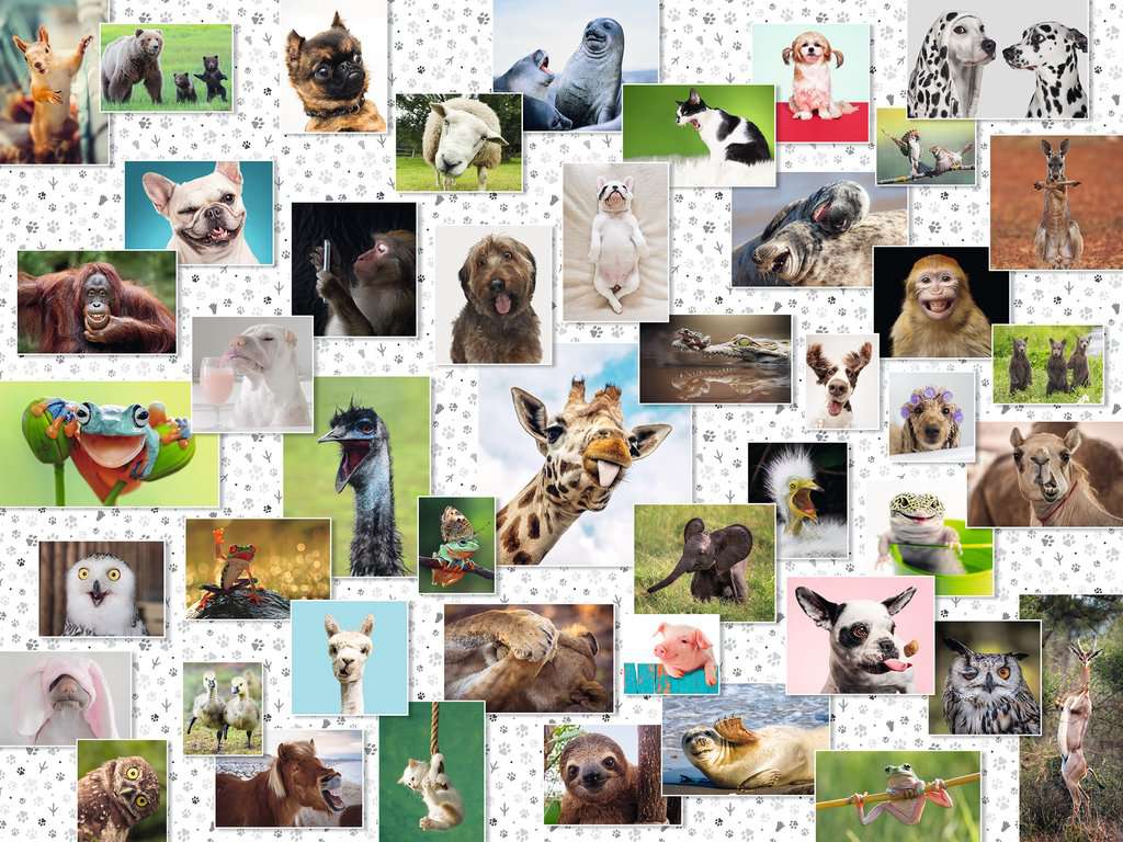 Puzzle 1500 piezas -Collage de Animales Divertidos- Ravensburger