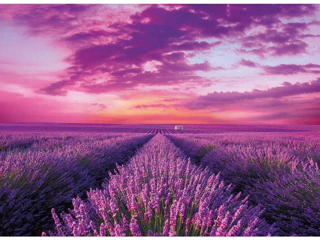 Puzzle 1000 piezas -Campos de Lavanda- Clementoni