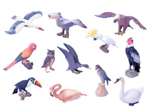 Set 12 Animales -Aves-