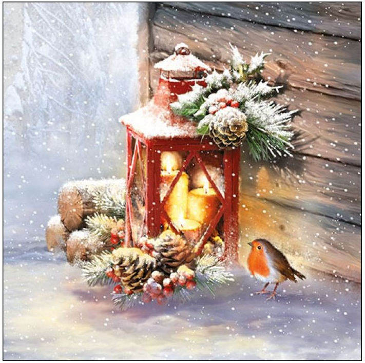 Servilleta 33 x 33 cm. -Robin by Lantern-