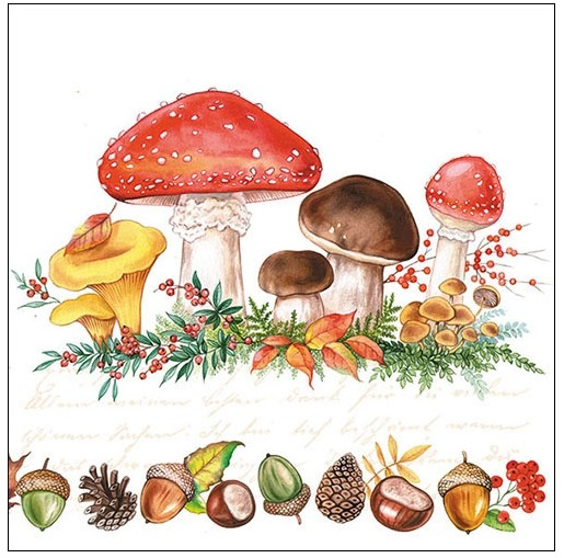 Servilleta 33 x 33 cm. -Mushrooms-