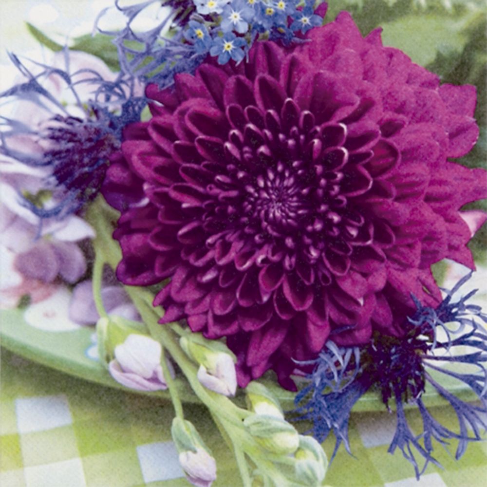 Servilleta 33 x 33 cm. -Dahlia & Cornflower-