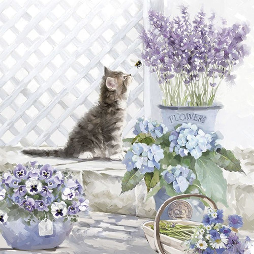 Servilleta 33 x 33 cm. -Kitten-