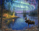 Pintar Por Números -Elan y Aurora Boreal- Bastidor 40 x 50 cm. Figured´Art