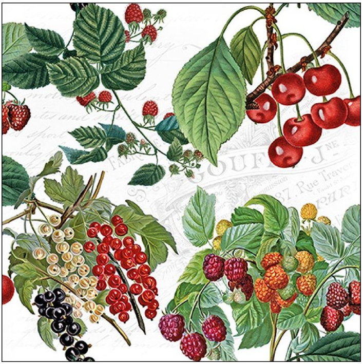 Servilleta 33 x 33 cm. -Fresh Fruits-