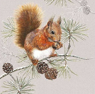 Servilleta 33 x 33 cm. -Squirrel In Winter-