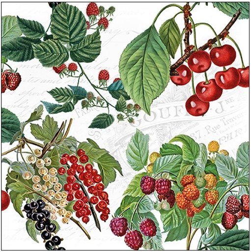Servilleta 33 x 33 cm. -Fresh Fruits-