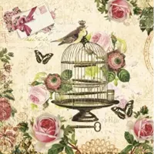 Servilleta 33 x 33 cm. -Jaula Vintage-