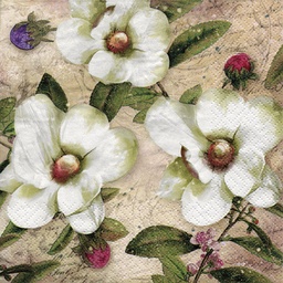 Servilleta 33 x 33 cm. -Trois Magnolias Blanc-