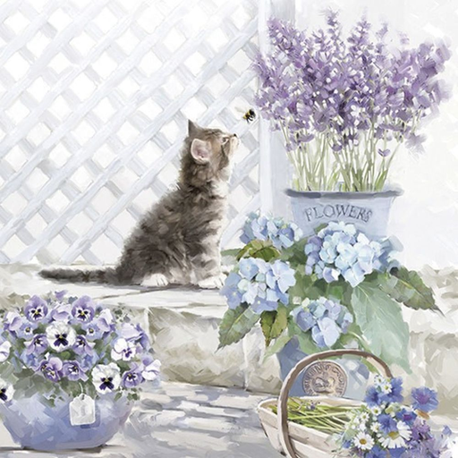 Servilleta 33 x 33 cm. -Kitten-
