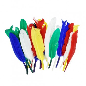 [1004500] Plumas Colores Surtidos 12-15 cm. (20 uds.)