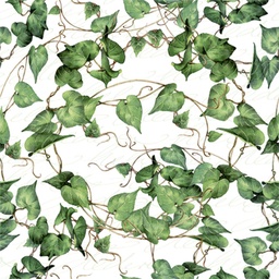 Servilleta 33 x 33 cm. -Green Ivy Branches-