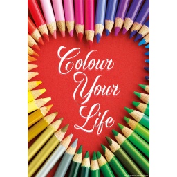 [17081] Puzzle 500 piezas -Colour Your Life- Educa