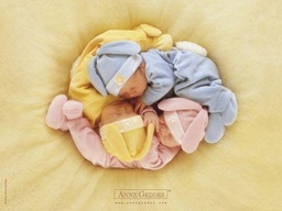 [13804] Puzzle 500 piezas -Sleeping Babies Nest- Educa