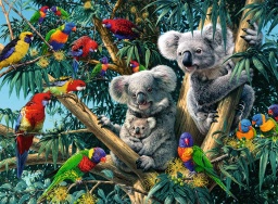 [14826 4] Puzzle 500 piezas -Koalas en el Árbol- Ravensburger