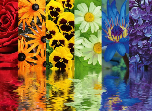 [16446 2] Puzzle 500 piezas -Reflexiones Florales- Ravensburger