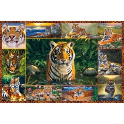 [17424] Puzzle 5000 piezas -El Mundo de los Tigres- Ravensburger