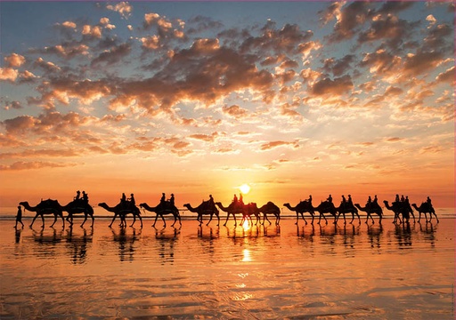 [18492] Puzzle 1000 piezas -Atardecer Dorado en Cable Beach, Australia- Educa