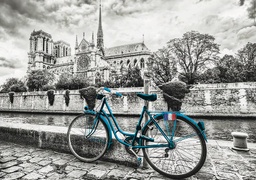 [18482] Puzzle 500 piezas -Bicicleta en Notre Dame- Educa