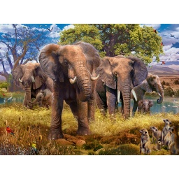 [15040 3] Puzzle 500 piezas -Familia de Elefantes- Ravensburger