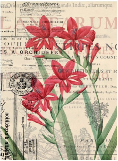 [PA056] Papel Arroz Decorado 30x40 cm. -Flores Rojas- Cadence