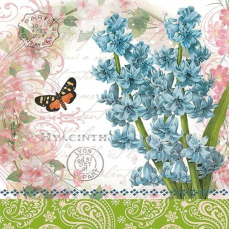 Servilleta 33 x 33 cm. -Hyacinth-