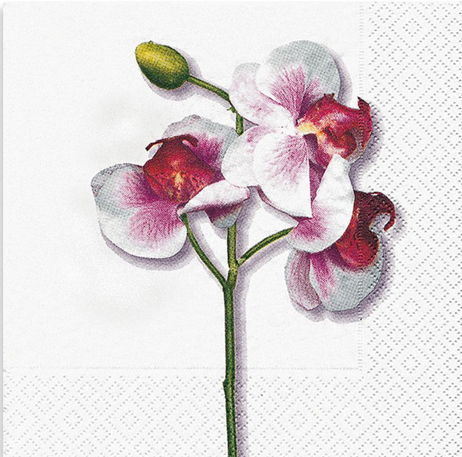 Servilleta 33 x 33 cm. -Classic Orchid White- Paper+Design