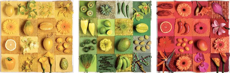 [18454] Puzzle 3 x 500 piezas -Exotic Fruits & Flowers- Educa
