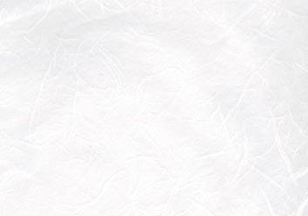 [1413001000] Papel Arroz Liso -Blanco Puro- 70 x 50 cm.
