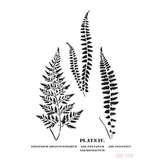 [BN154] Plantilla Stencil 25 x 36 cm. -Plate IV- Cadence