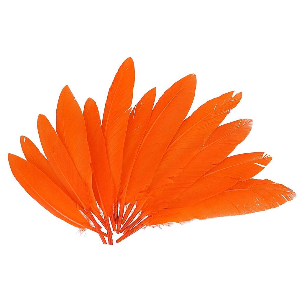 [97337] Plumas Indias 25 x 140 mm. Naranjas (60 pzs.)