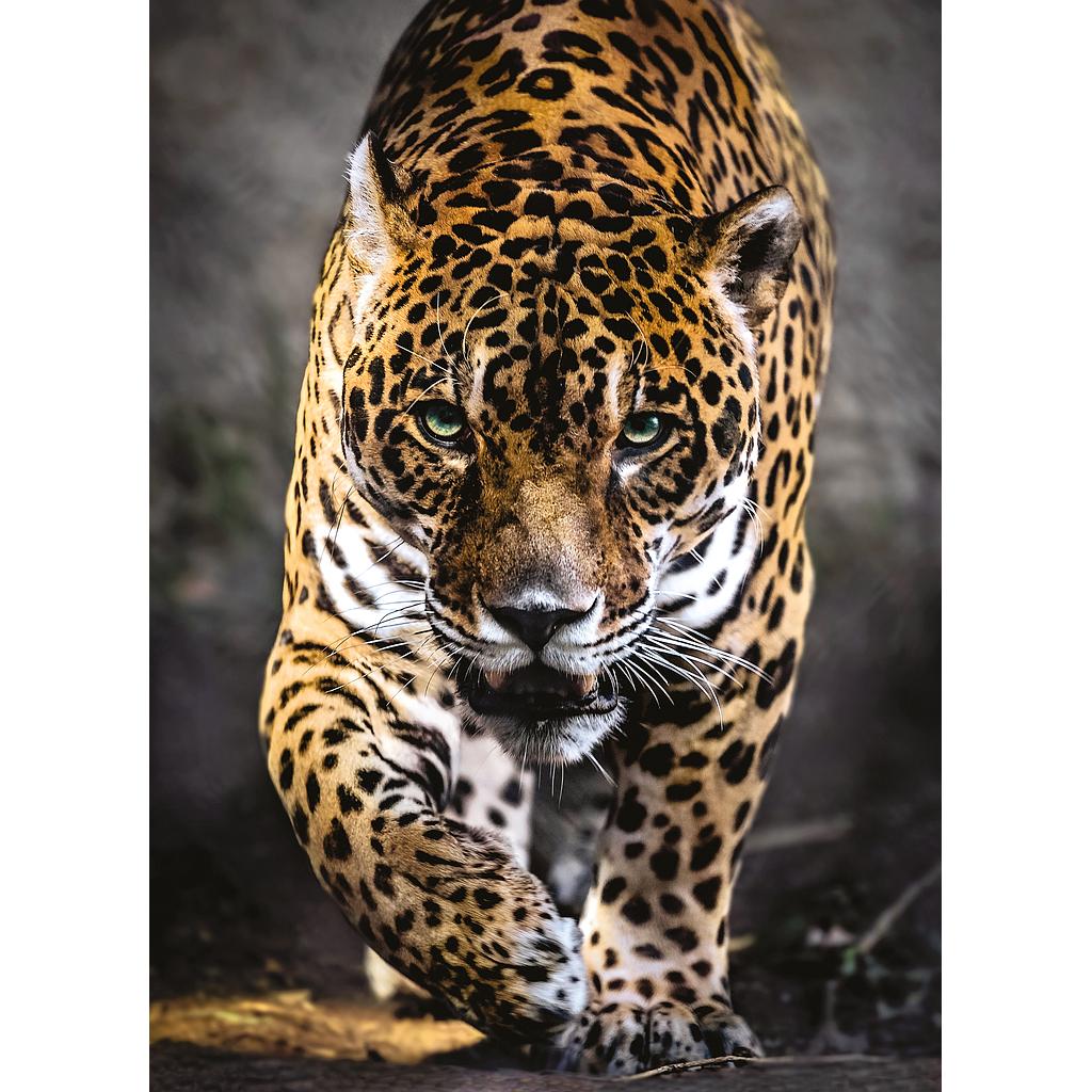 [39326 8] Puzzle 1000 piezas -Walk of the Jaguar- Clementoni