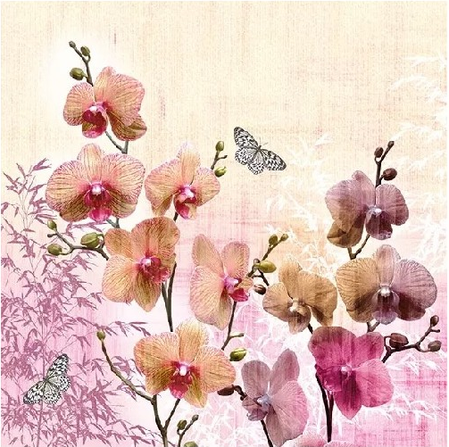 Servilleta 33 x 33 cm. -Orchids Orient-