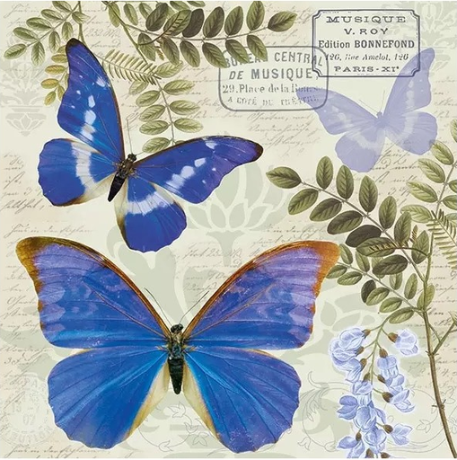 Servilleta 33 x 33 cm. -Blue Morpho-