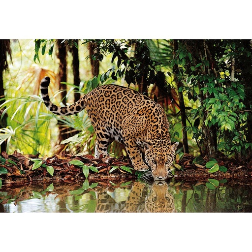 [32537 5] Puzzle 2000 piezas -Leopardo- Clementoni