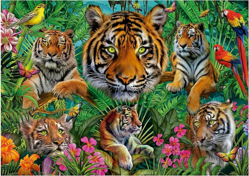 [19902] Puzzle 500 piezas -Jungla de Tigres- Educa